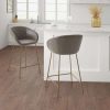 New New Madison Park Andrina Brown/ Gold Counter Stool