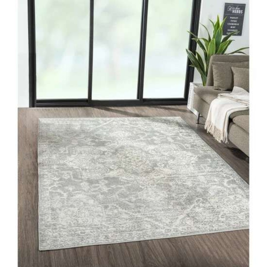 Clearance Deals Madison Park Caroline Distressed Medallion Woven Area Rug